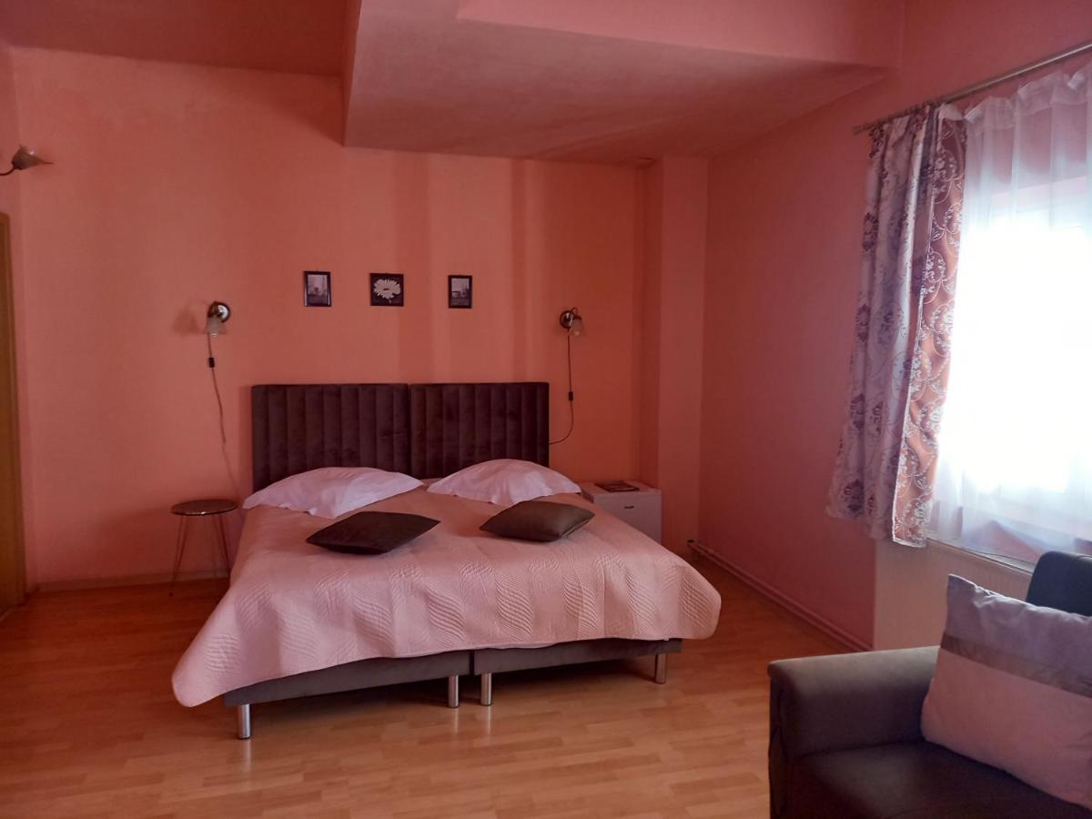 Pensiunea Vila Dana Cluj-Napoca Exterior foto