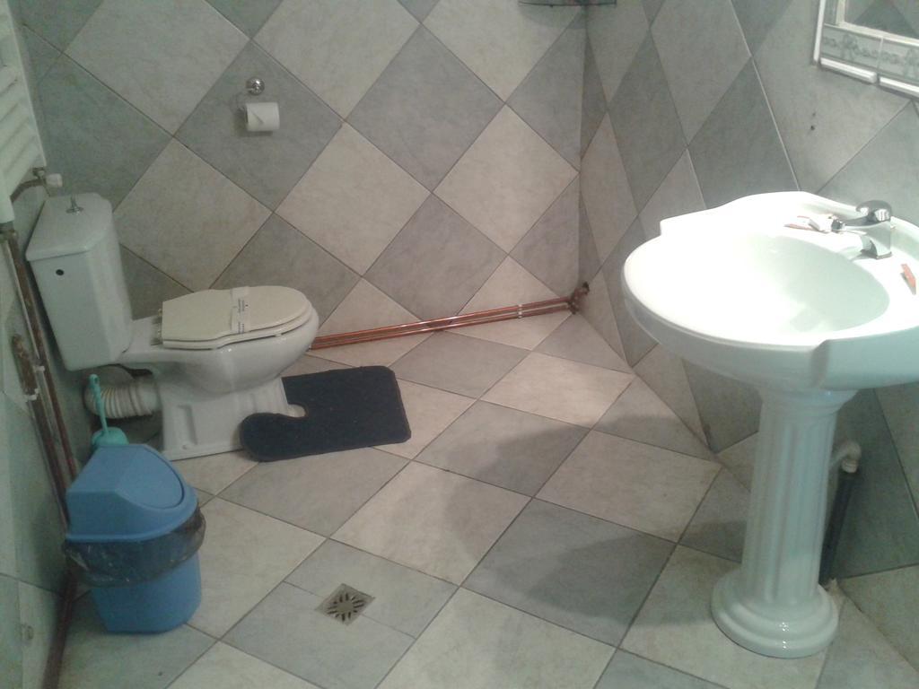 Pensiunea Vila Dana Cluj-Napoca Zimmer foto
